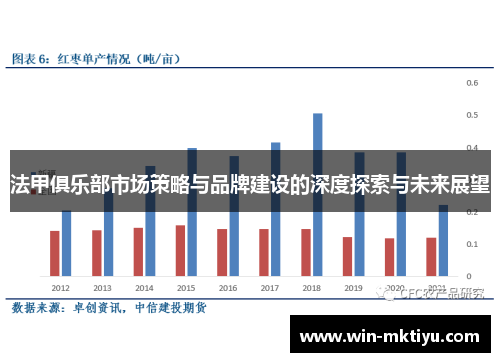 法甲俱乐部市场策略与品牌建设的深度探索与未来展望