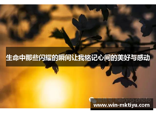 生命中那些闪耀的瞬间让我铭记心间的美好与感动