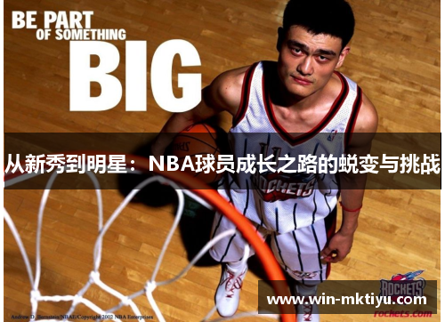 从新秀到明星：NBA球员成长之路的蜕变与挑战