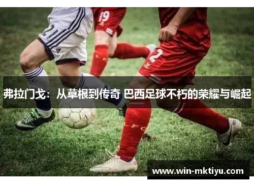 弗拉门戈：从草根到传奇 巴西足球不朽的荣耀与崛起