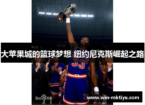 大苹果城的篮球梦想 纽约尼克斯崛起之路