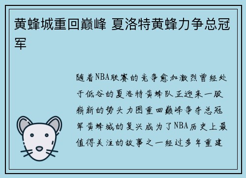 黄蜂城重回巅峰 夏洛特黄蜂力争总冠军